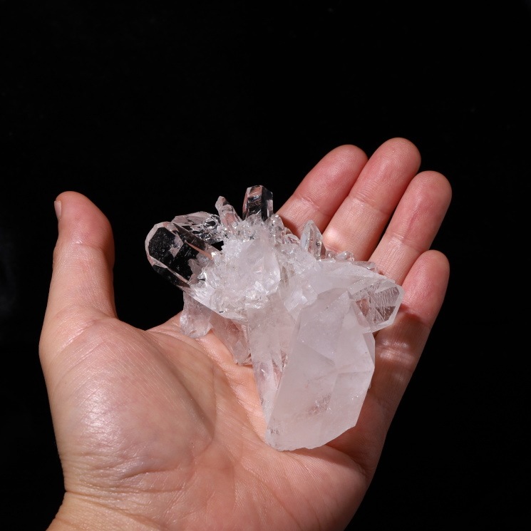 no34  �ȥޥ����󥵥��� �徽���饹���� ���ʼ�