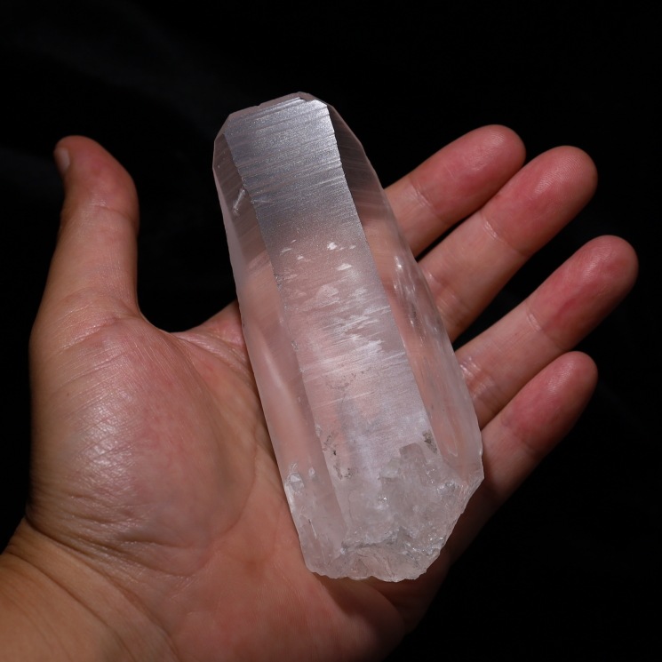 ���ꥢ�󥷡��ɿ徽�ݥ���� ���ʼ� �����֥�뻺 (Serra do Cabral) No55