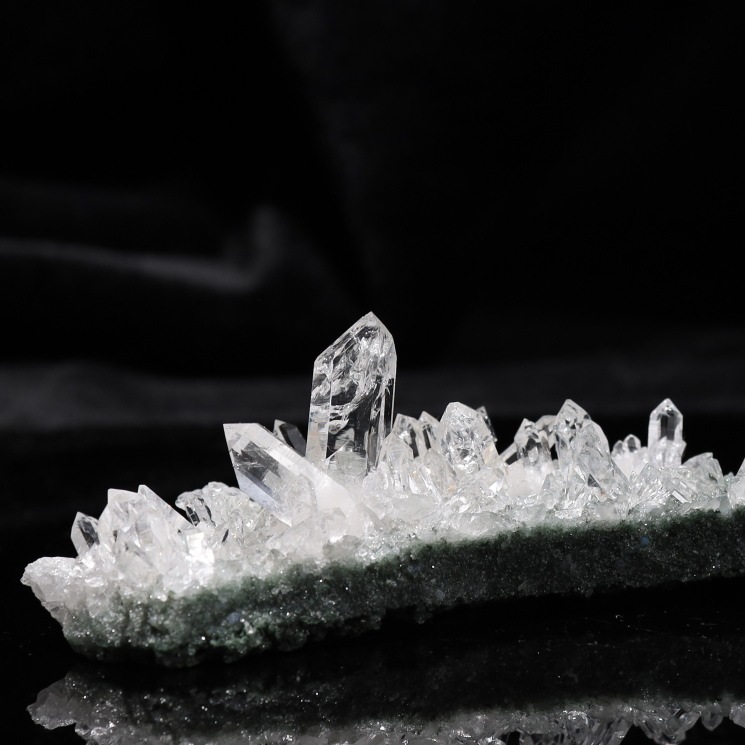 �ޥ˥ϡ��뻺 �ҥޥ��徽 No��