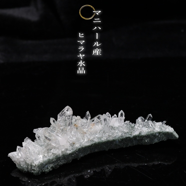 �ޥ˥ϡ��뻺 �ҥޥ��徽 No��