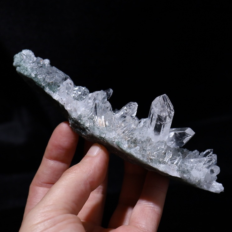 �ޥ˥ϡ��뻺 �ҥޥ��徽 No��