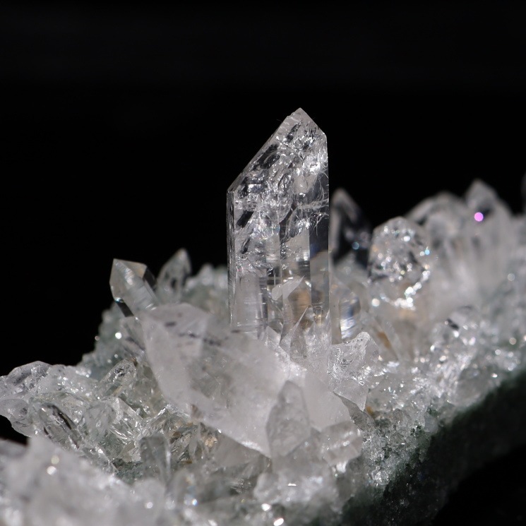 �ޥ˥ϡ��뻺 �ҥޥ��徽 No��