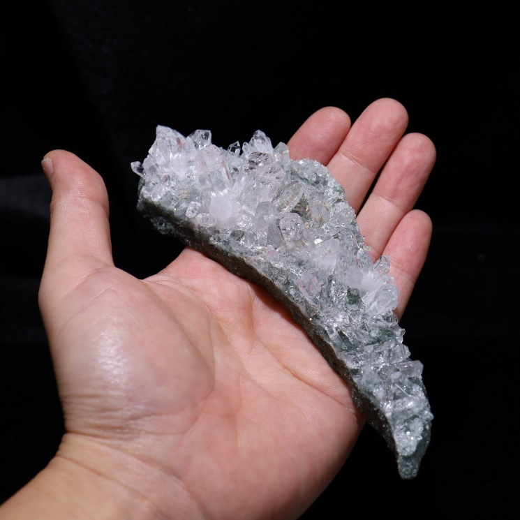 �ޥ˥ϡ��뻺 �ҥޥ��徽 No��