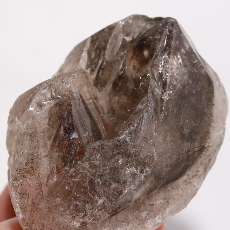 �֥�å������ѡ����֥��� No7