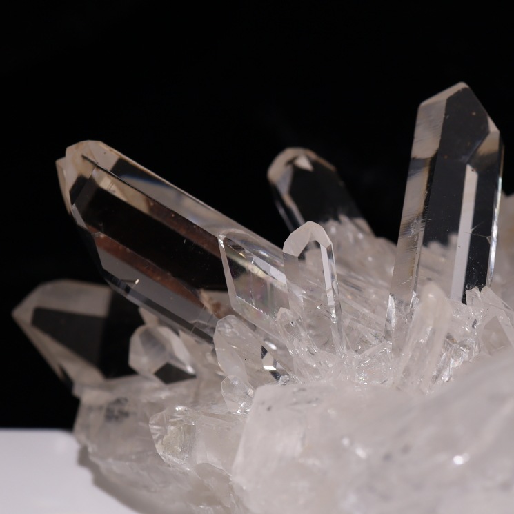 �ȥޥ����󥵥��� �徽���饹���� �ǹ��ʼ� ���դ� No.54