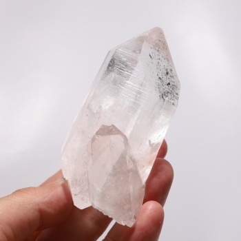 No3 �֥�å����ꥢ�󥷡��ɿ徽�ݥ���ȡ��Х�����