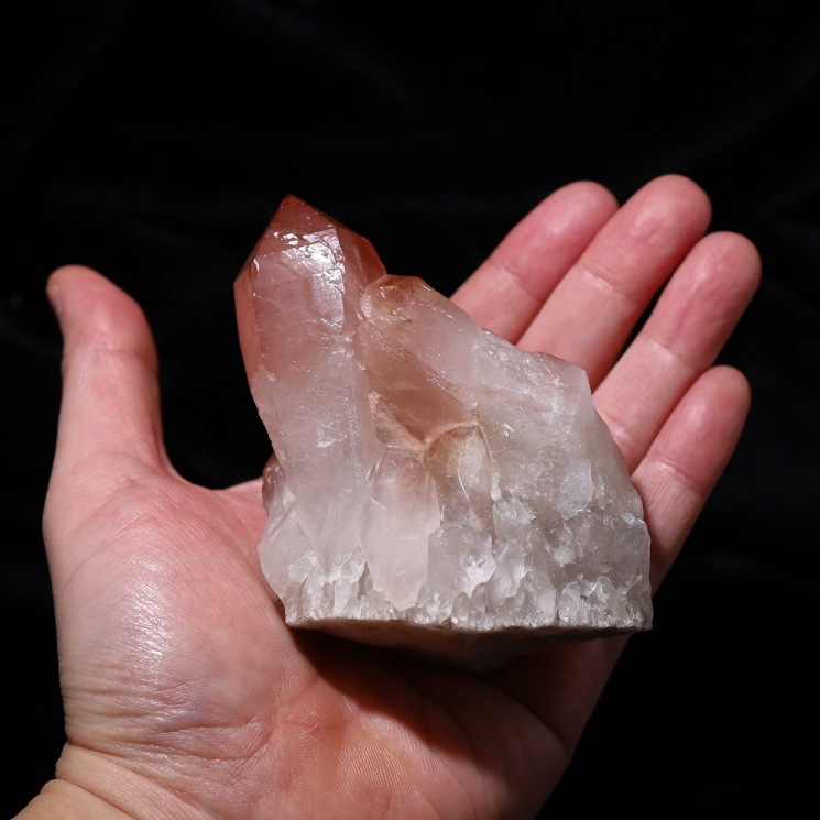 ԥ󥯥ꥢ󥷡ɿ徽饹 դ Diamantina No12