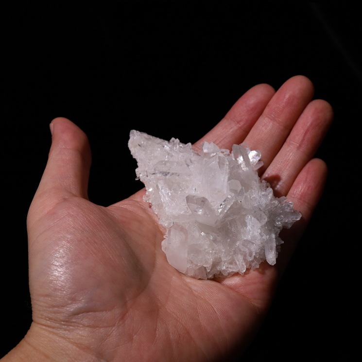 �졼�����徽���饹���� no��