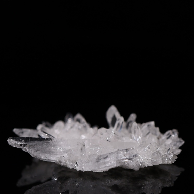 �졼�����徽���饹���� no��