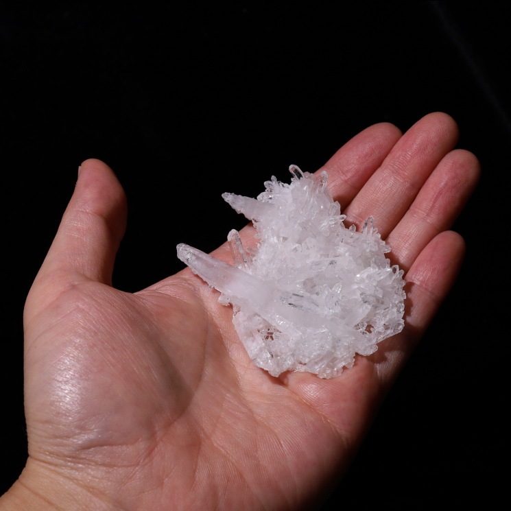 �졼�����徽���饹���� no��