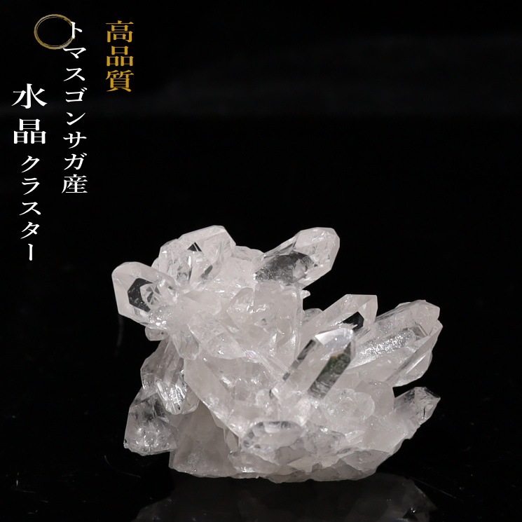 no39  �ȥޥ����󥵥��� �徽���饹���� ���ʼ�