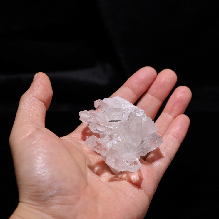 no39  �ȥޥ����󥵥��� �徽���饹���� ���ʼ�