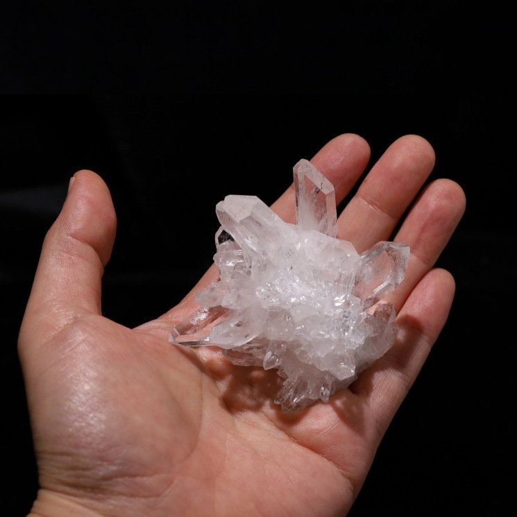 no40  �ȥޥ����󥵥��� �徽���饹���� ���ʼ�