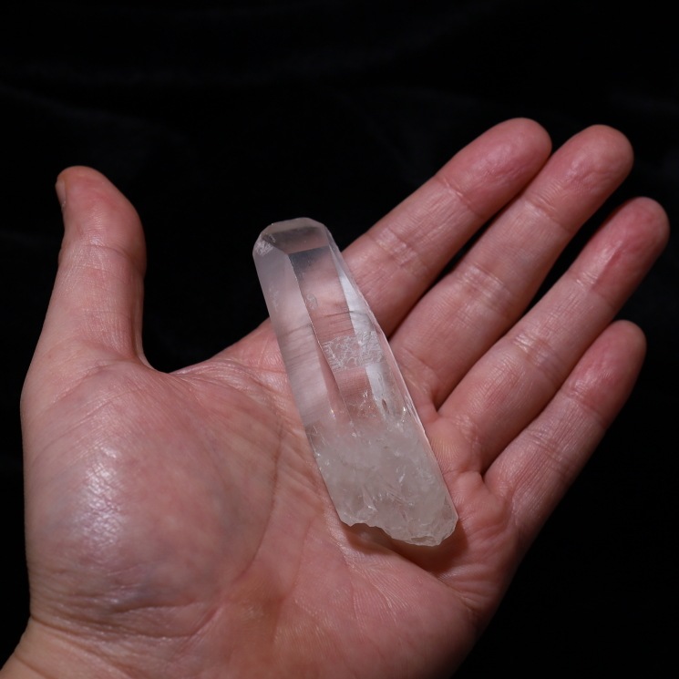 ���ꥢ�󥷡��ɿ徽�ݥ���� ���ʼ������֥�뻺 (Serra do Cabral) No48