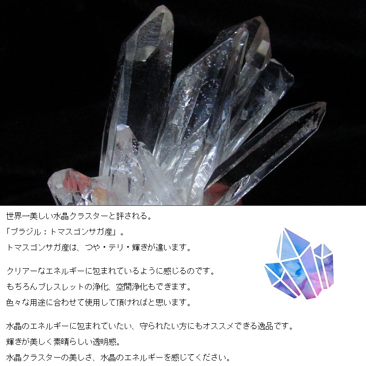 no14 �ȥޥ����󥵥��� �徽���饹���� �ǹ��ʼ�