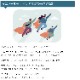 �ޥ˥ϡ��뻺 �ҥޥ��徽���饹���� No��