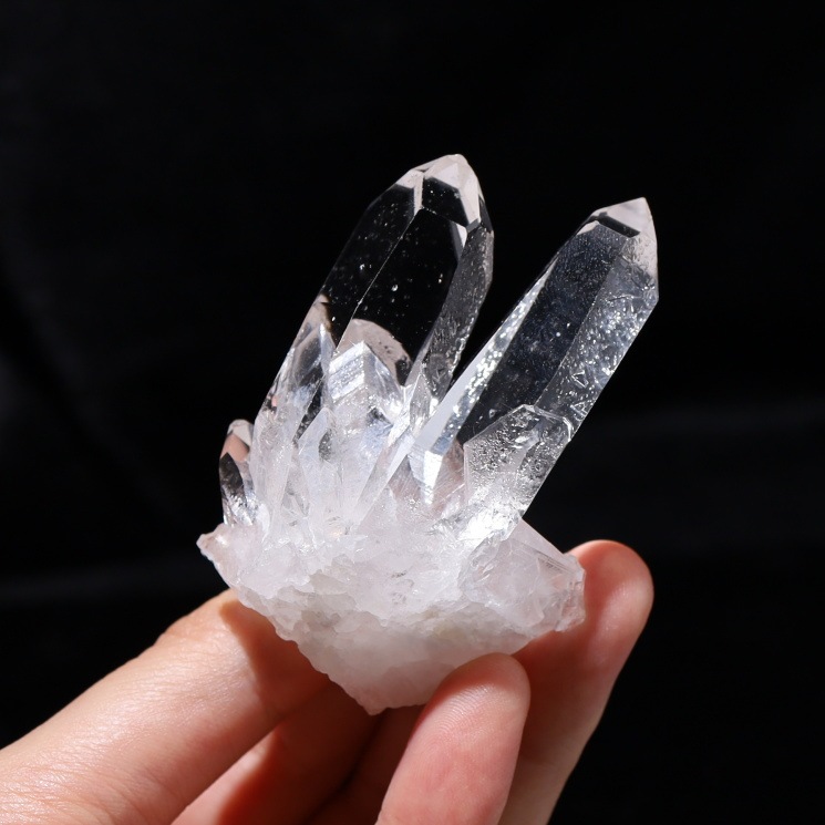 no41  �ȥޥ����󥵥��� �徽���饹���� �ǹ��ʼ�