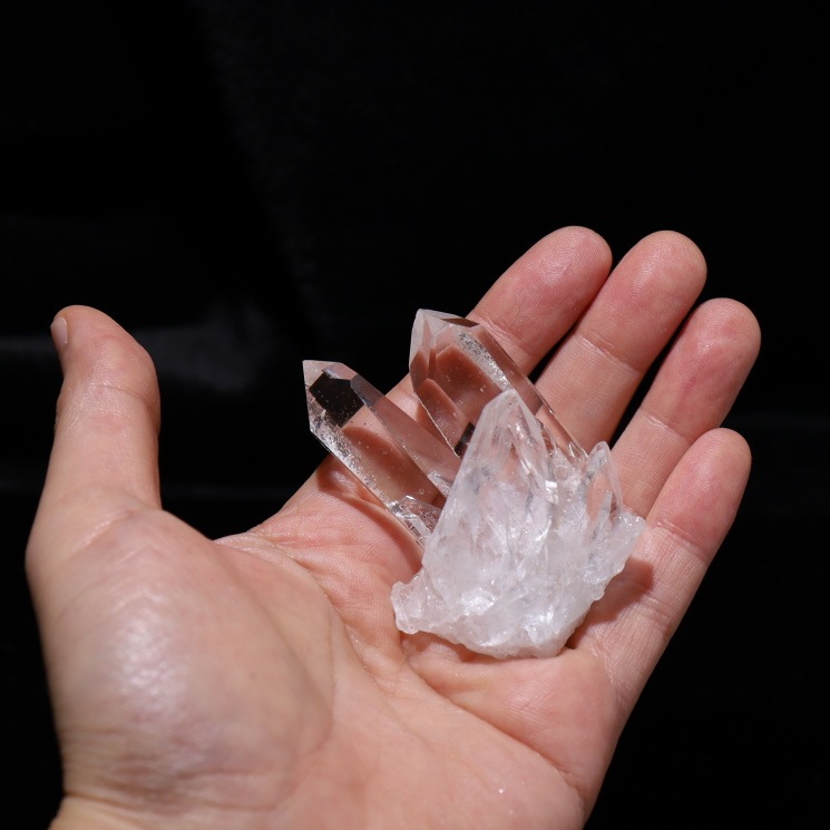 no41  �ȥޥ����󥵥��� �徽���饹���� �ǹ��ʼ�