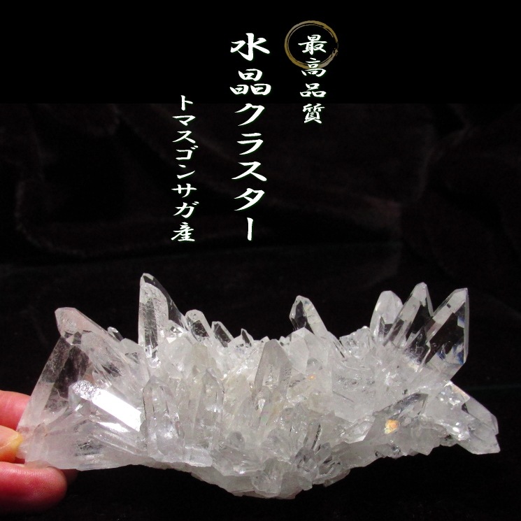 no15 �ȥޥ����󥵥��� �徽���饹���� �ǹ��ʼ����徽�������Сܥ��饹�դ�