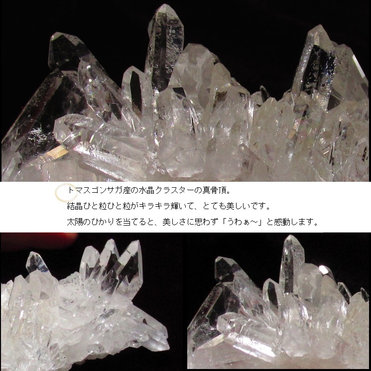 no15 �ȥޥ����󥵥��� �徽���饹���� �ǹ��ʼ����徽�������Сܥ��饹�դ�