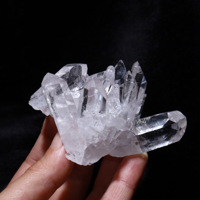 no28  �ȥޥ����󥵥��� �徽���饹���� ���ʼ�