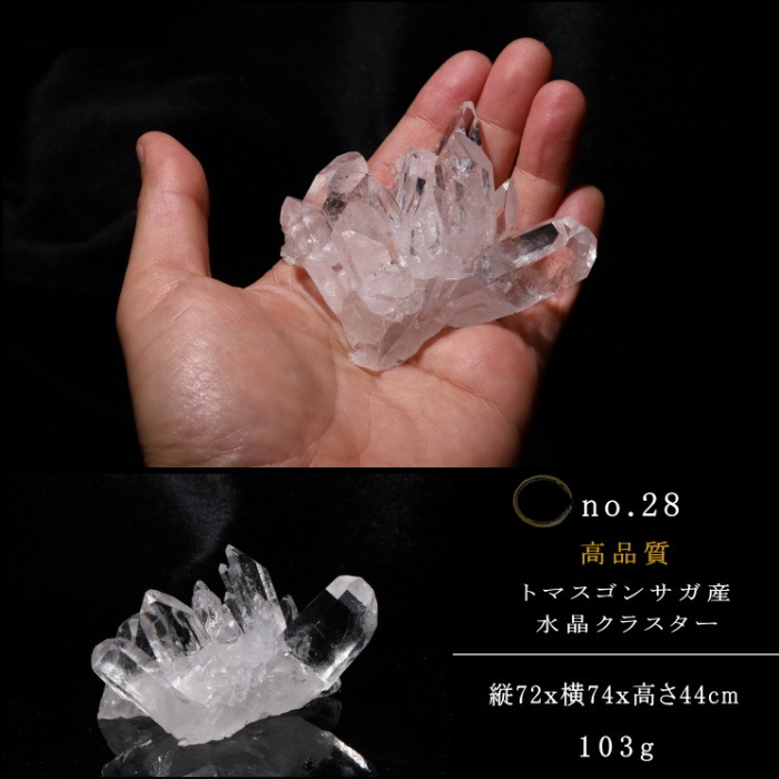 no28  �ȥޥ����󥵥��� �徽���饹���� ���ʼ�