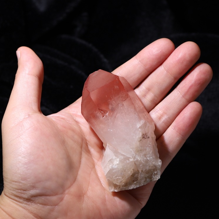 ԥ󥯥ꥢ󥷡ɿ徽ݥ ʼ Diamantina No21