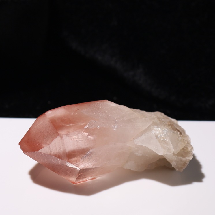 ԥ󥯥ꥢ󥷡ɿ徽ݥ ʼ Diamantina No21