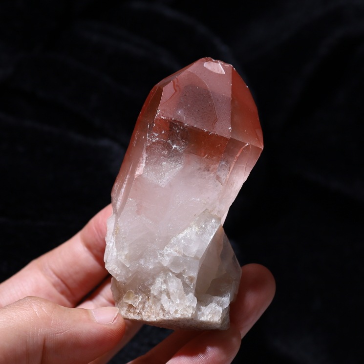 ԥ󥯥ꥢ󥷡ɿ徽ݥ ʼ Diamantina No21