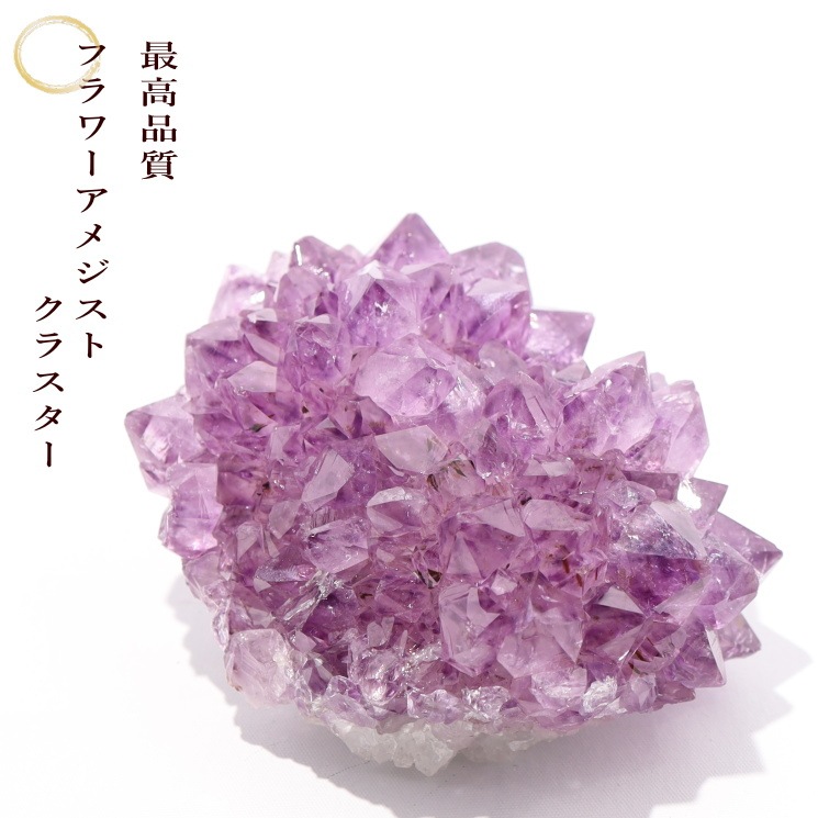 �ڴ����ʡۥե����᥸���ȥ��饹���� No��