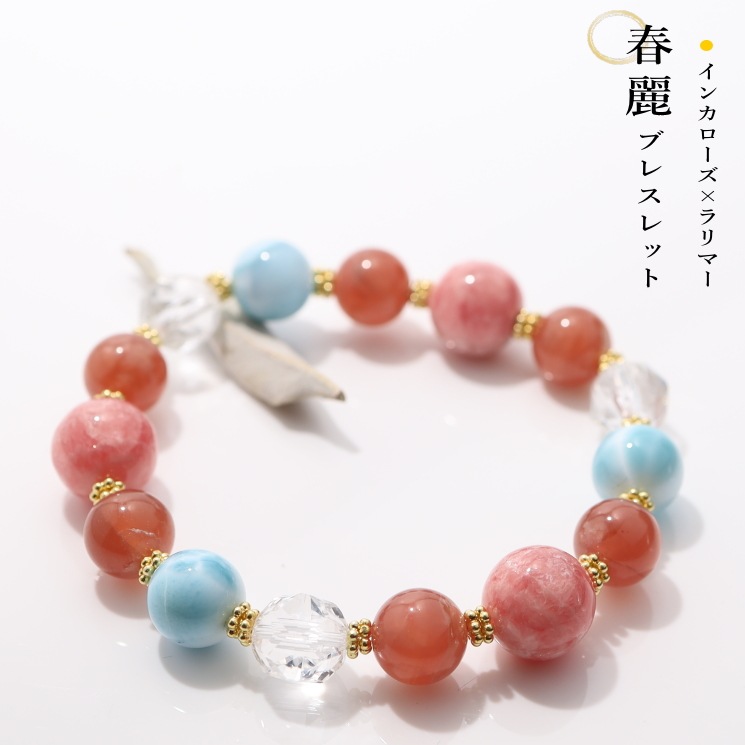 ����֥쥹��å� ���󥫥������ߥ��ޡ���Special Edition(�������)