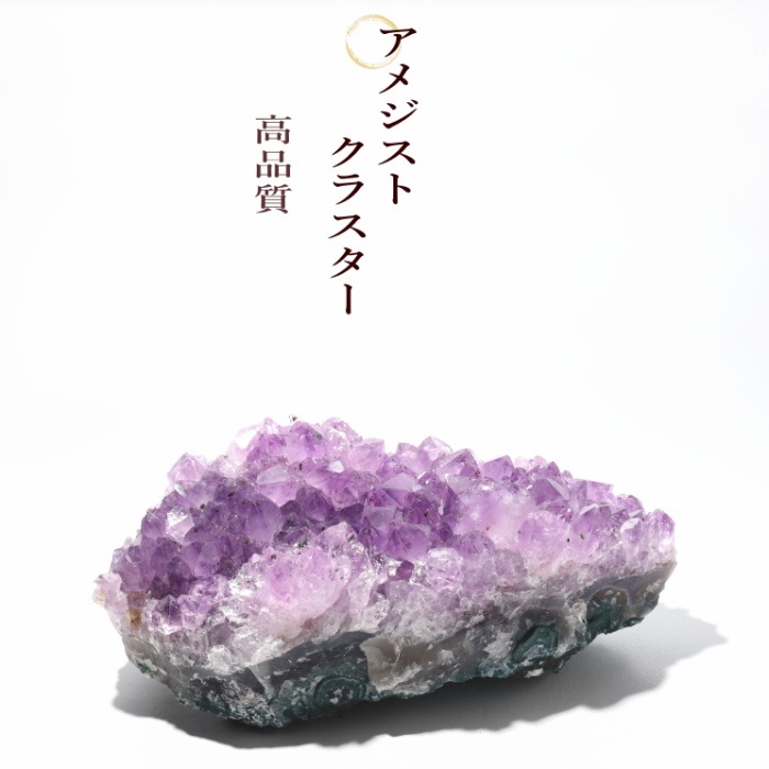 ᥸ȥ饹祵 ֥饸뻺