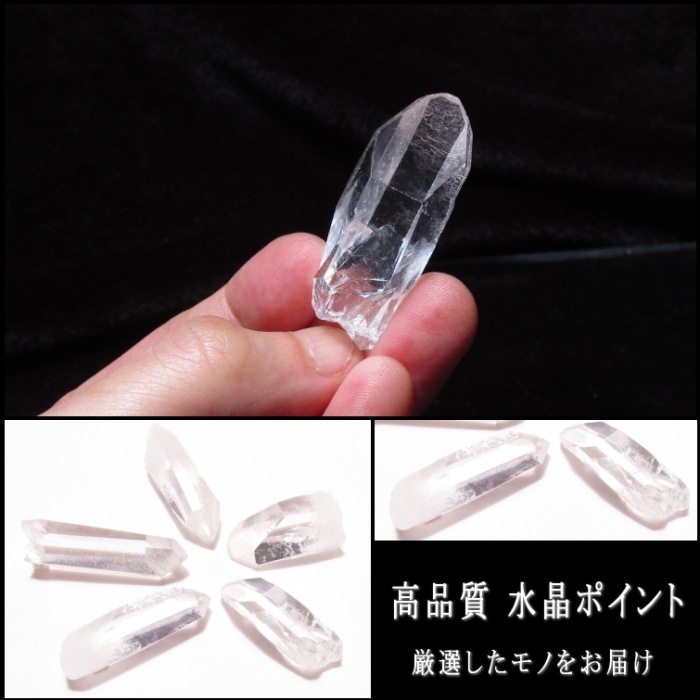 徽ݥ  ֥饸뻺  ΤϤ