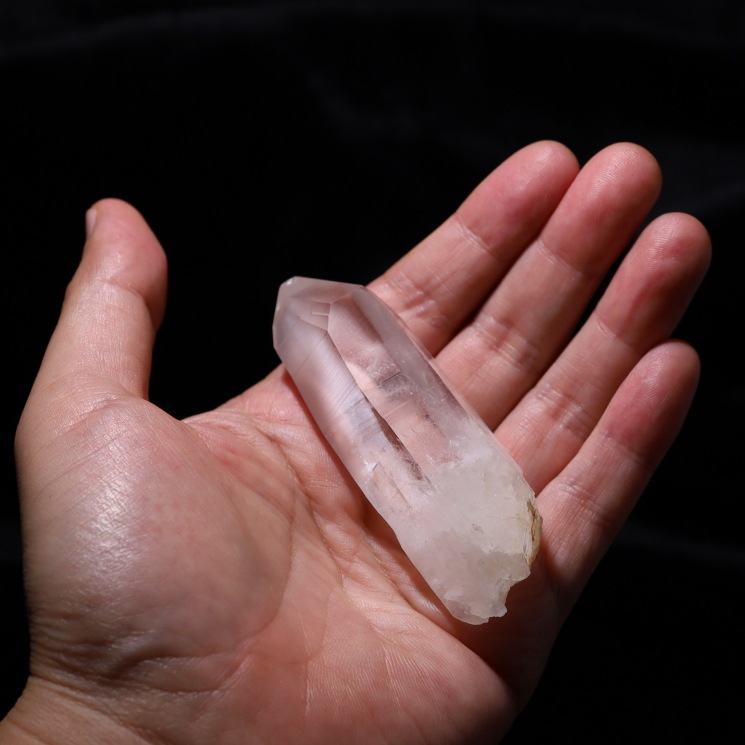 No38 ���ꥢ�󥷡��ɿ徽�ݥ���� ���ʼ� (�쥤��ܡ�����)�����֥�뻺 (Serra do Cabral)