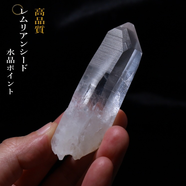 No38 ���ꥢ�󥷡��ɿ徽�ݥ���� ���ʼ� (�쥤��ܡ�����)�����֥�뻺 (Serra do Cabral)