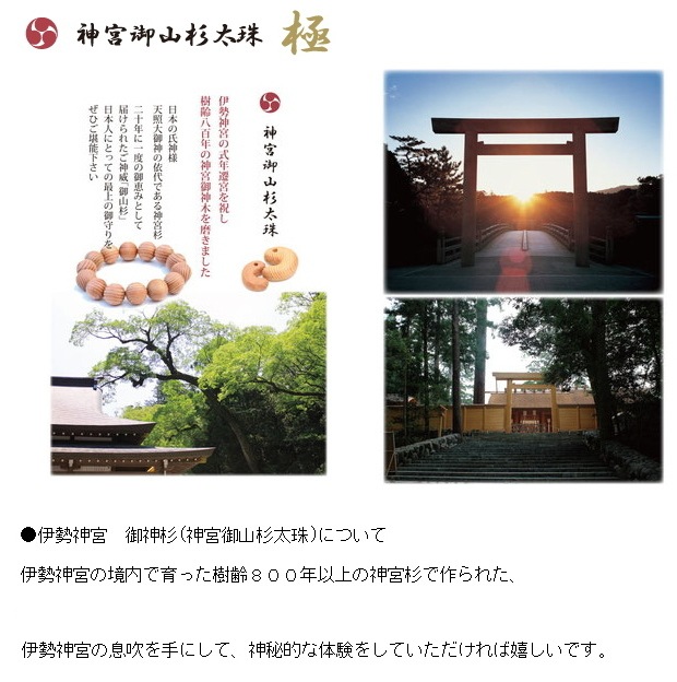 no40 �������� ������� ��100mm  (���ܸ滳������)�����դ�