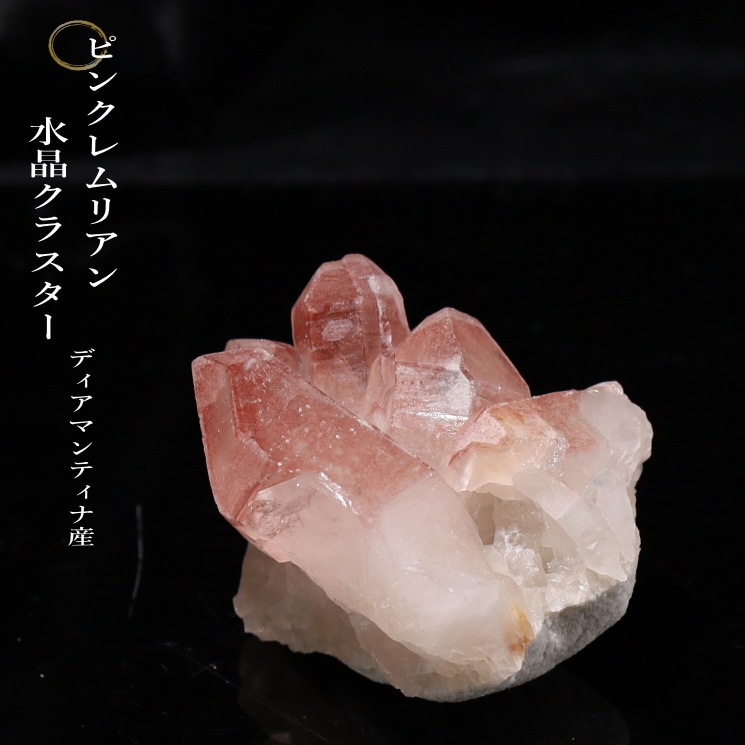 ԥ󥯥ꥢ󥷡ɿ徽饹 Diamantina No