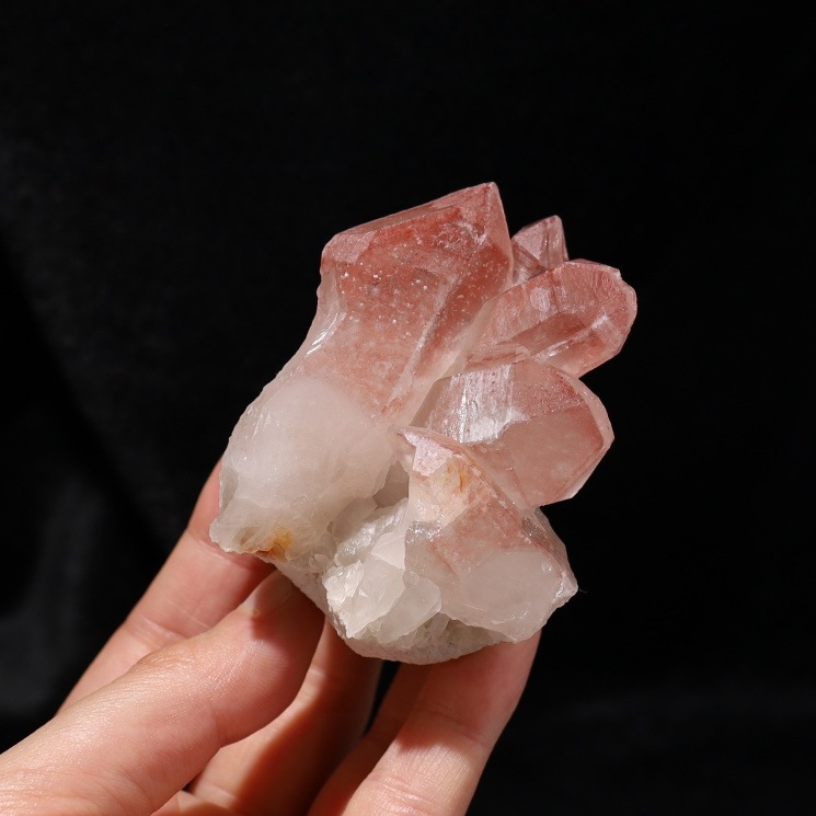 ԥ󥯥ꥢ󥷡ɿ徽饹 Diamantina No