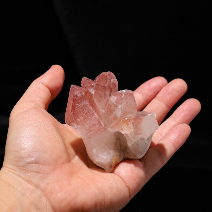 ԥ󥯥ꥢ󥷡ɿ徽饹 Diamantina No