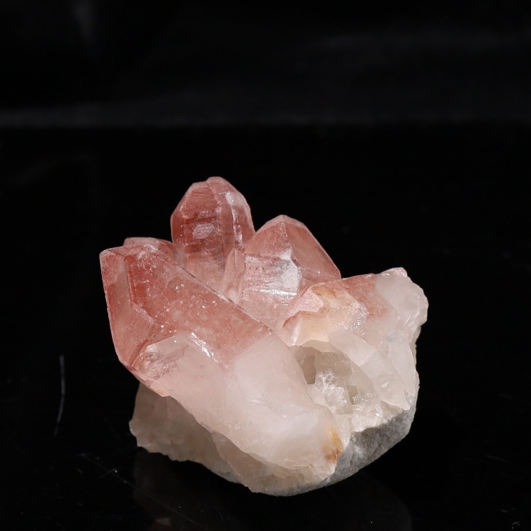 ԥ󥯥ꥢ󥷡ɿ徽饹 Diamantina No