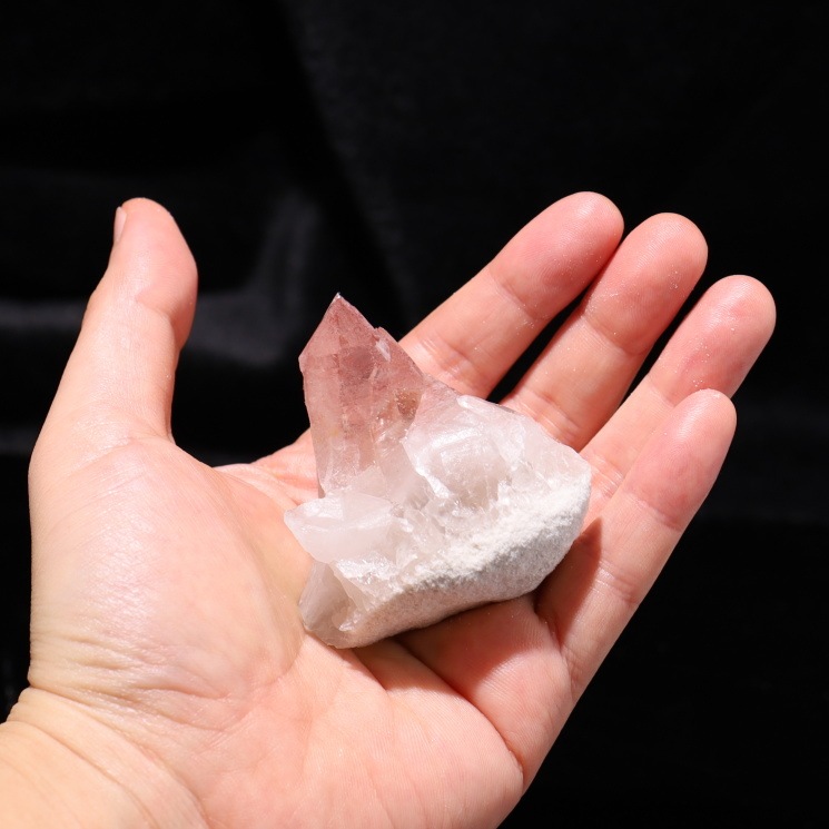 �ԥ󥯥��ꥢ�󥷡��ɿ徽���饹������ Diamantina�� No��