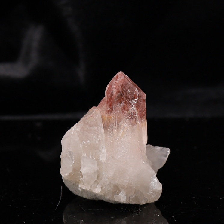 �ԥ󥯥��ꥢ�󥷡��ɿ徽���饹������ Diamantina�� No��