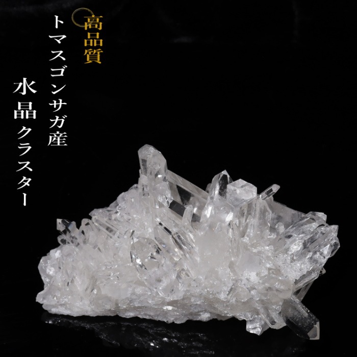 no19  �ȥޥ����󥵥��� �徽���饹���� ���ʼ�