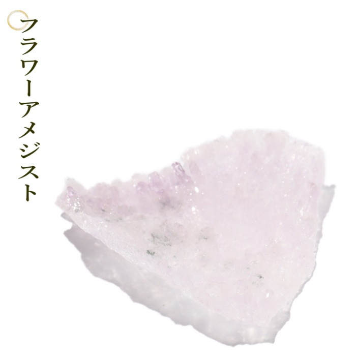 �ե����᥸���� no19