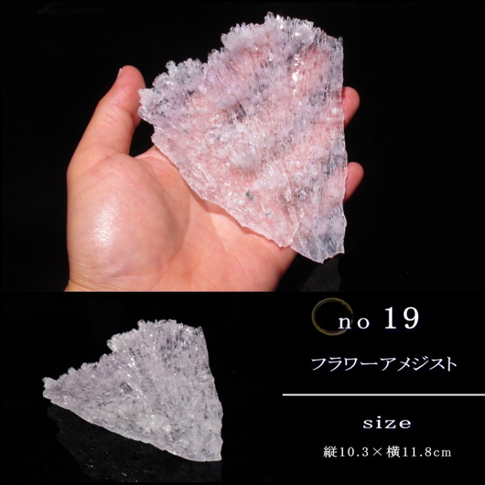 �ե����᥸���� no19