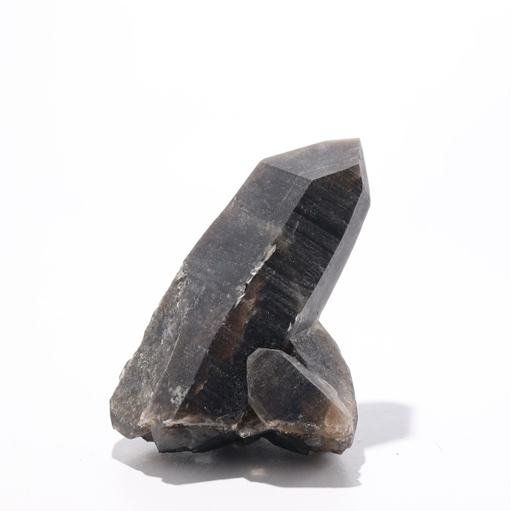 No51 ���徽�ʥ�ꥪ��˥��饹����