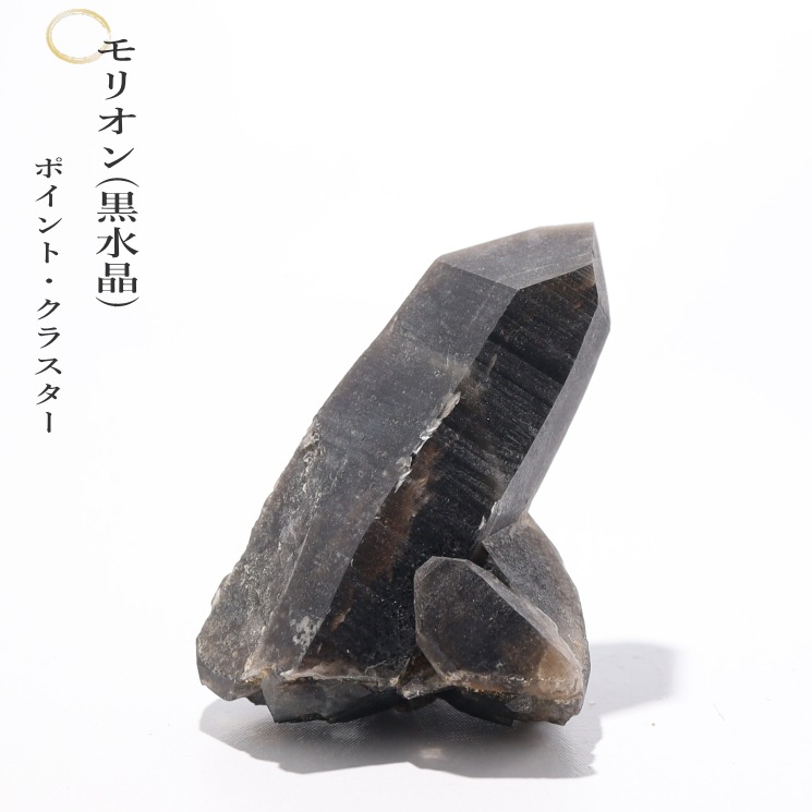 No51 ���徽�ʥ�ꥪ��˥��饹����