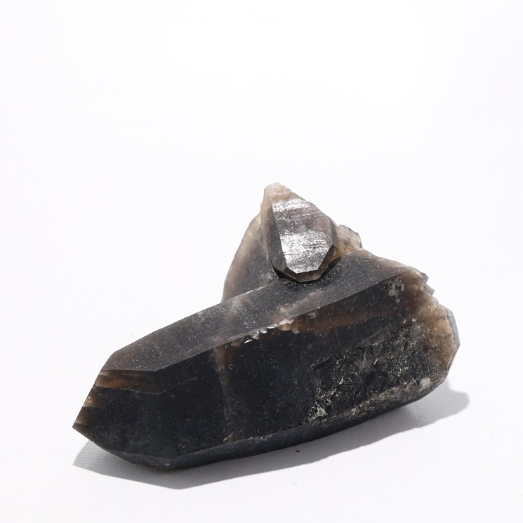 No51 ���徽�ʥ�ꥪ��˥��饹����