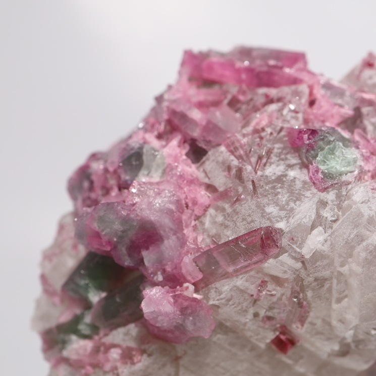 �ڴ����ʡۥХ����顼�ȥ�ޥ���� - ���м��뾽 ����դ� ��Special Edition(�������)