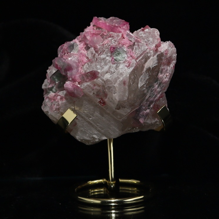 �ڴ����ʡۥХ����顼�ȥ�ޥ���� - ���м��뾽 ����դ� ��Special Edition(�������)